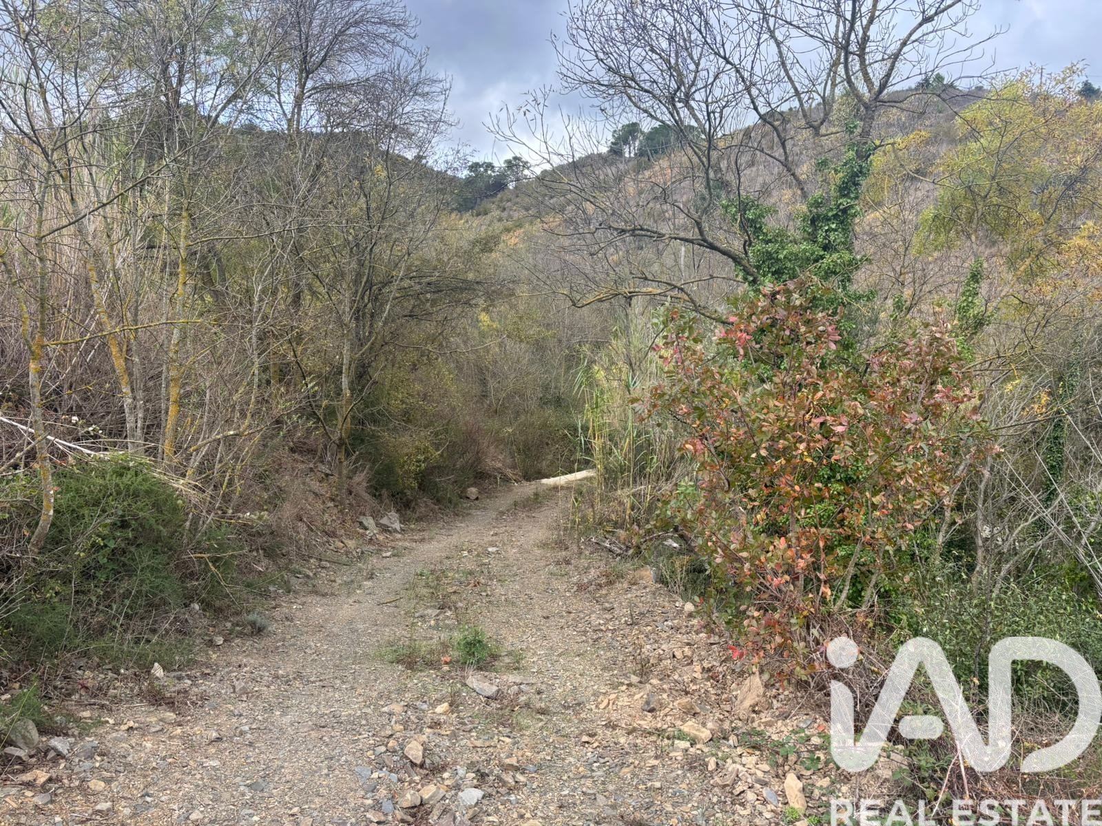 Land plot in Tarragona, Spain 16506 sq.m. No. 185532
