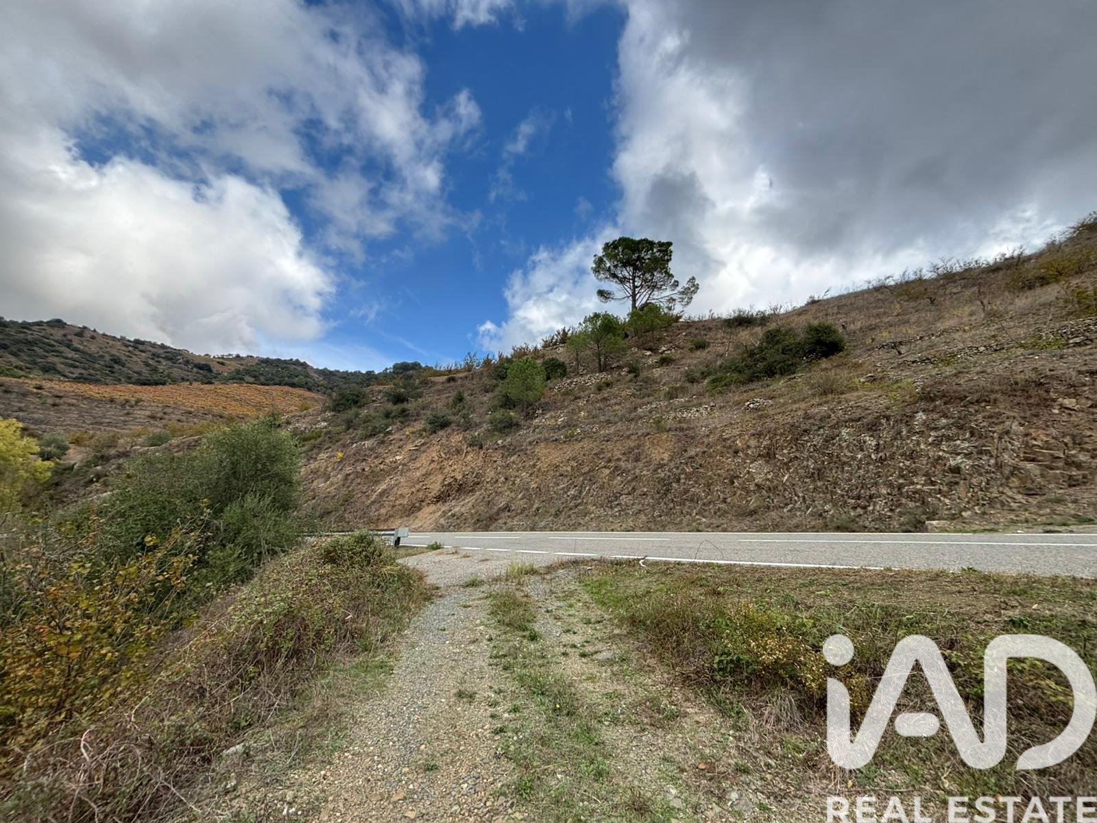 Land plot in Tarragona, Spain 16506 sq.m. No. 185532