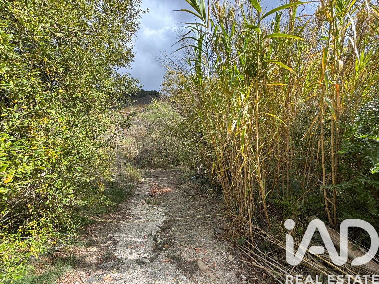 Land plot in Tarragona, Spain 16506 sq.m. No. 185532