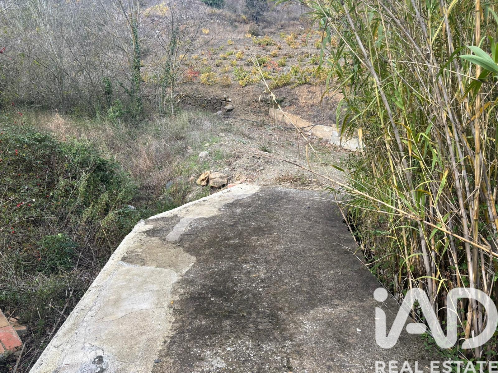 Land plot in Tarragona, Spain 16506 sq.m. No. 185532