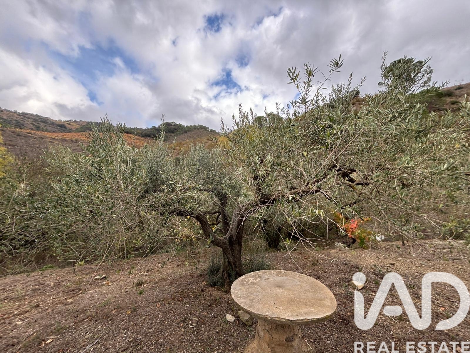 Land plot in Tarragona, Spain 16506 sq.m. No. 185532
