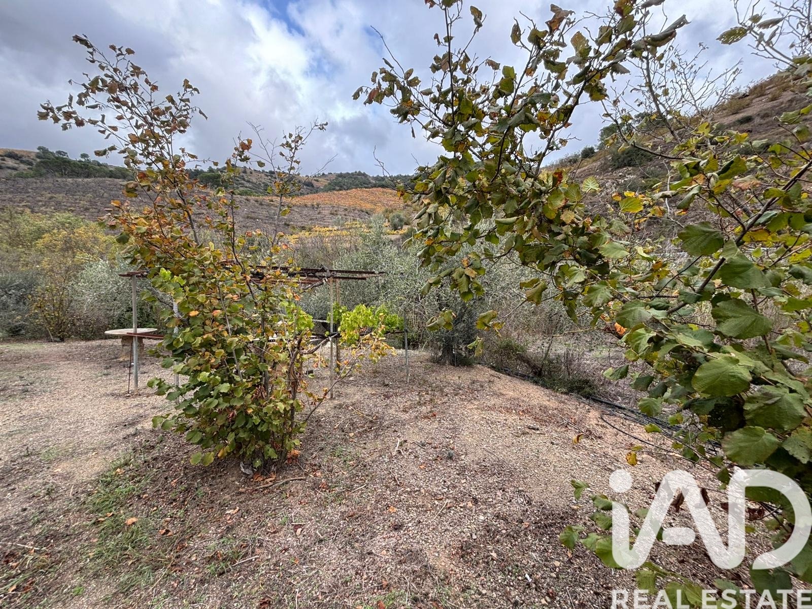 Land plot in Tarragona, Spain 16506 sq.m. No. 185532