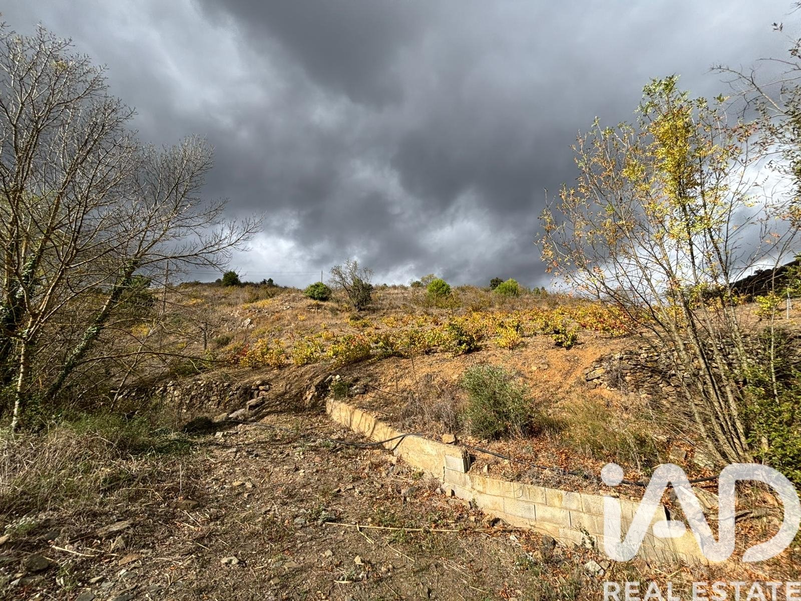 Land plot in Tarragona, Spain 16506 sq.m. No. 185532