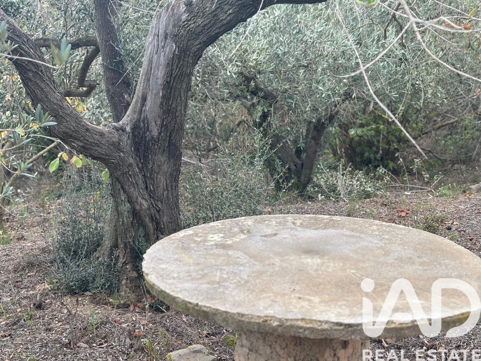 Land plot in Tarragona, Spain 16506 sq.m. No. 185532