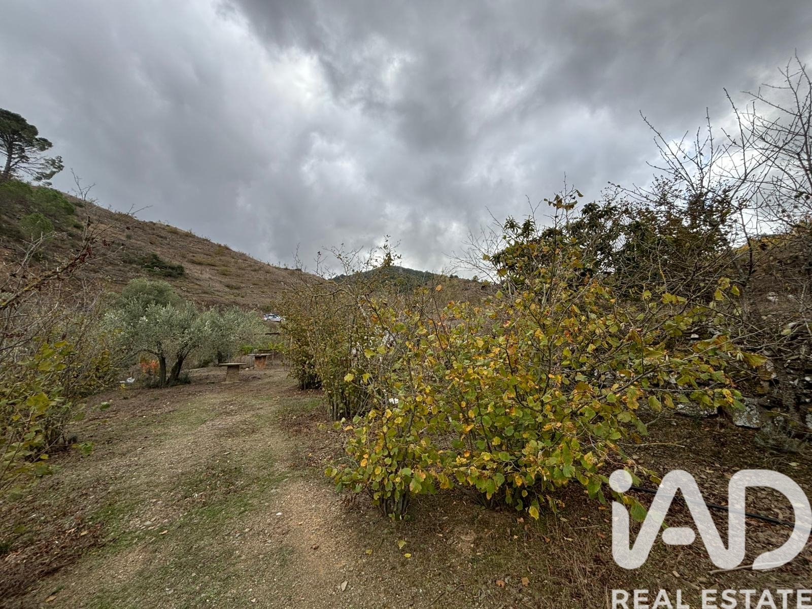 Land plot in Tarragona, Spain 16506 sq.m. No. 185532