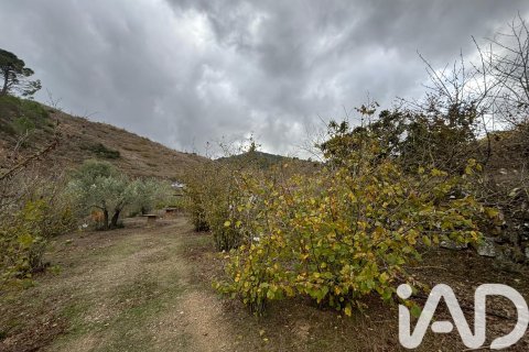 Продажа земельного участка в Таррагона, Испания 16506м2 №185532 - фото 22