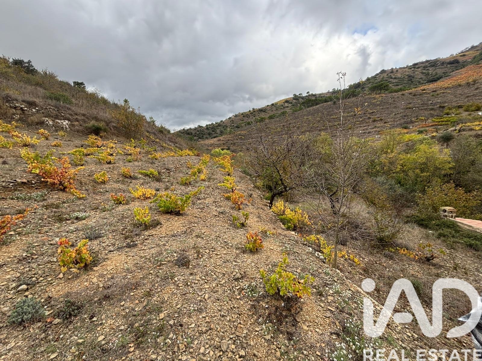 Land plot in Tarragona, Spain 16506 sq.m. No. 185532