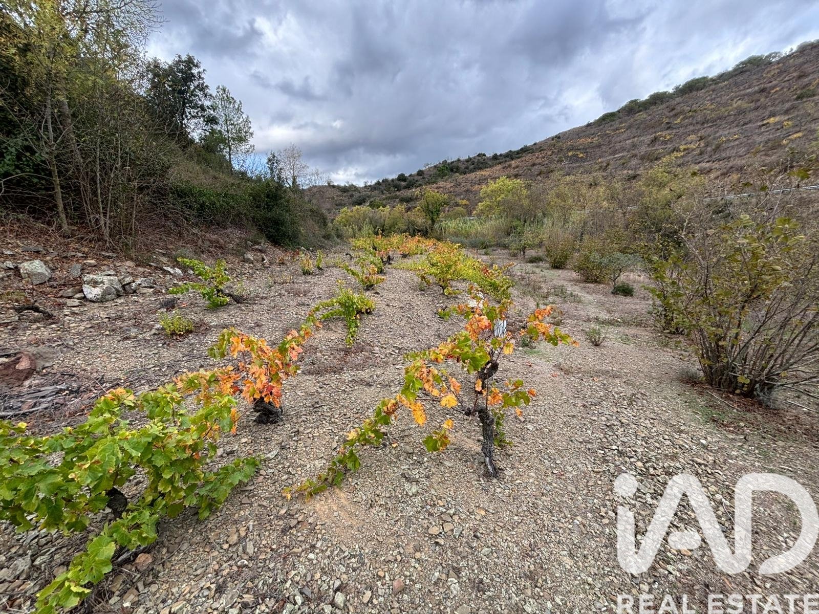 Land plot in Tarragona, Spain 16506 sq.m. No. 185532