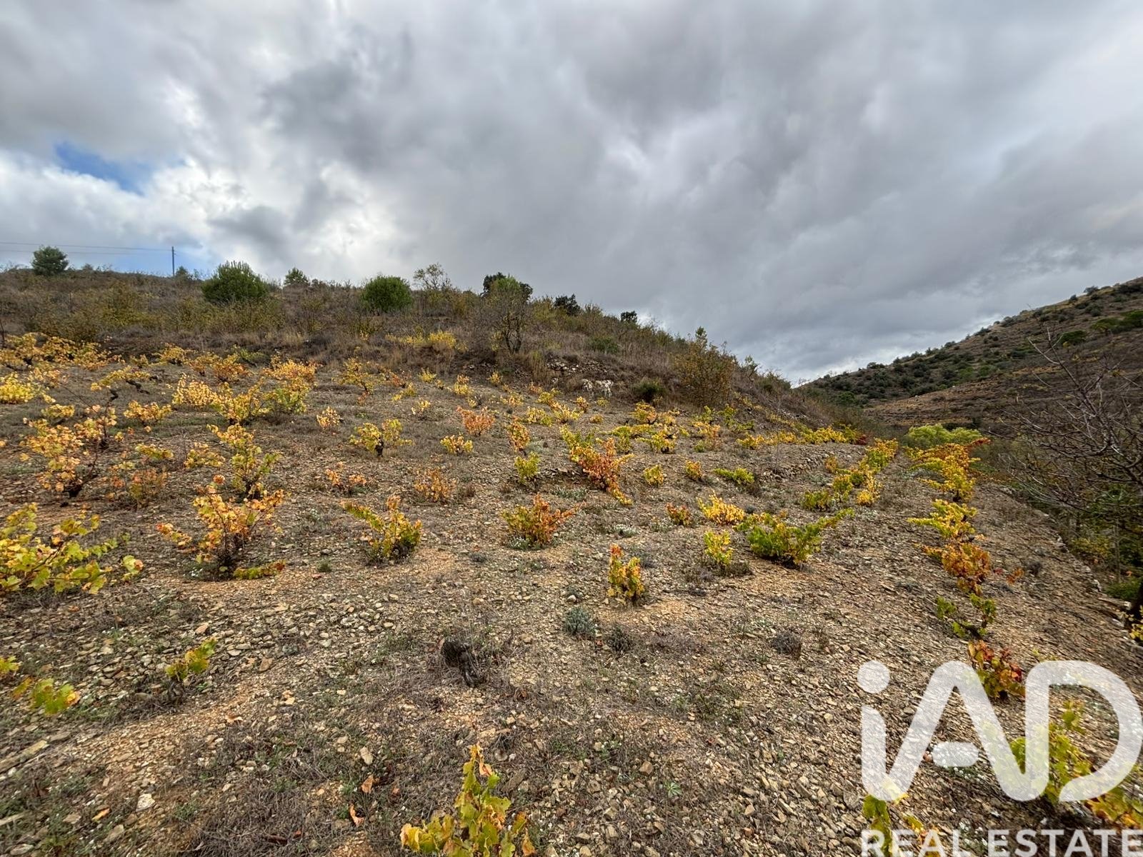 Land plot in Tarragona, Spain 16506 sq.m. No. 185532