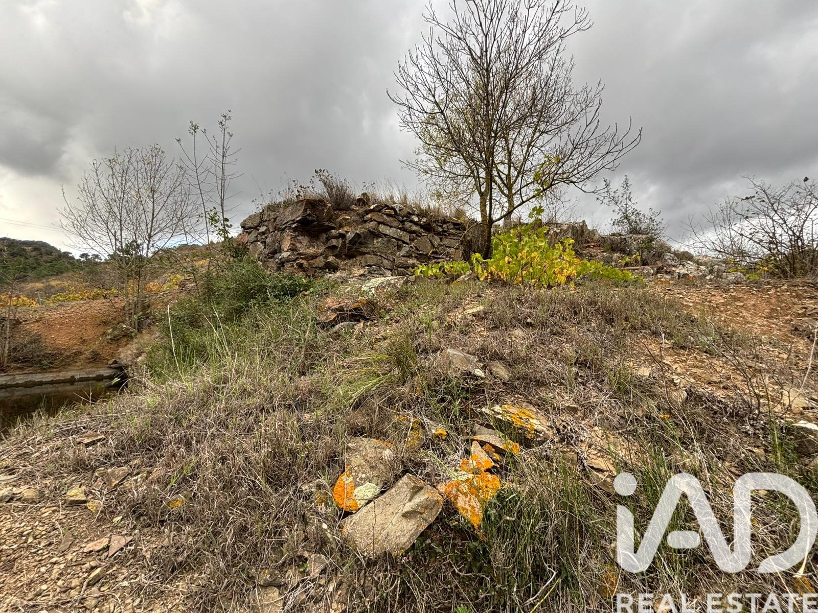 Land plot in Tarragona, Spain 16506 sq.m. No. 185532