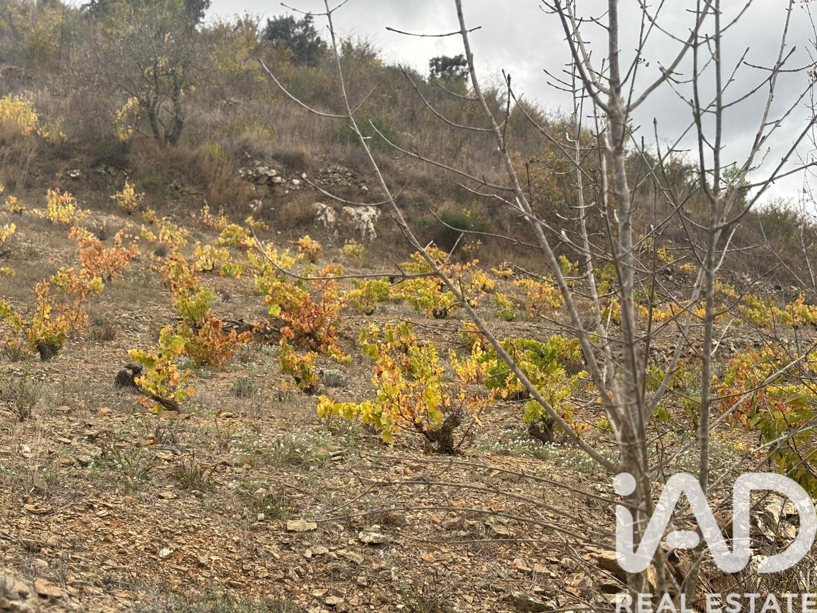 Land plot in Tarragona, Spain 16506 sq.m. No. 185532