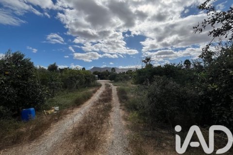 Продажа земельного участка в Картама, Малага, Испания 2469м2 №185531 - фото 24