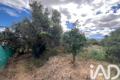 Продажа земельного участка в Картама, Малага, Испания 2469м2 №185531 - фото 25