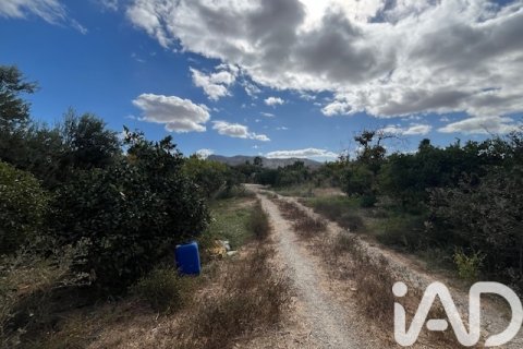 Продажа земельного участка в Картама, Малага, Испания 2469м2 №185531 - фото 12