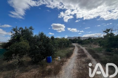 Продажа земельного участка в Картама, Малага, Испания 2469м2 №185531 - фото 9
