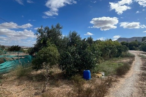 Продажа земельного участка в Картама, Малага, Испания 2469м2 №185531 - фото 10