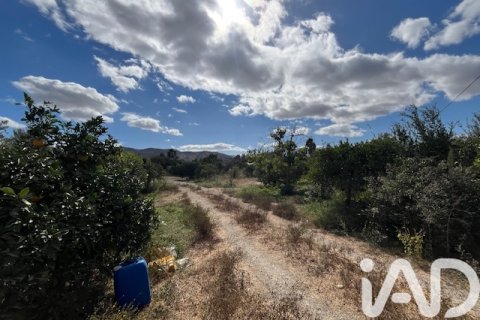 Продажа земельного участка в Картама, Малага, Испания 2469м2 №185531 - фото 16