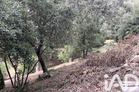 Land plot for sale in Vacarisses, Barcelona, Spain 1855 sq.m. No. 185533 - photo 25