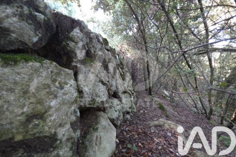 Land in Escorca, Mallorca, Spanien 1716 m2 Nr. 185534