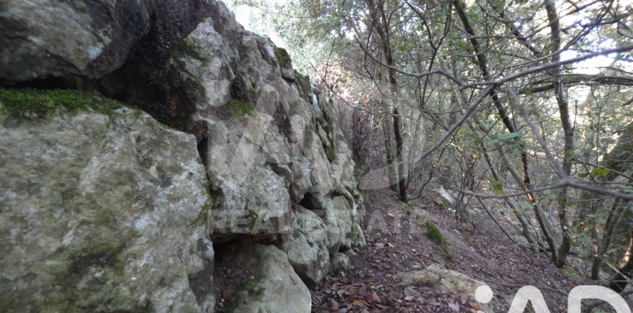 Działka w Escorca, Mallorca, Hiszpania 1716 mkw. nr 185534