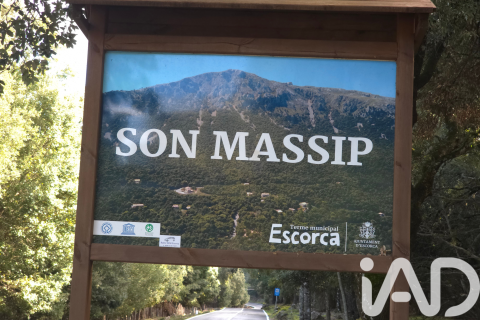 Działka w Escorca, Mallorca, Hiszpania 1716 mkw. nr 185534 – zdjęcie 4