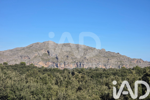 Działka w Escorca, Mallorca, Hiszpania 1716 mkw. nr 185534 – zdjęcie 26