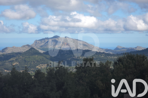 Działka w Escorca, Mallorca, Hiszpania 1716 mkw. nr 185534 – zdjęcie 30