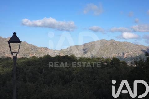 Działka w Escorca, Mallorca, Hiszpania 1716 mkw. nr 185534 – zdjęcie 29