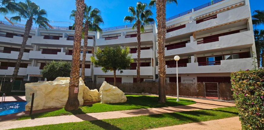 Apartment Playa Flamenca II, Alicante, Spain 3 bedrooms, 106 sq.m. No. 113026