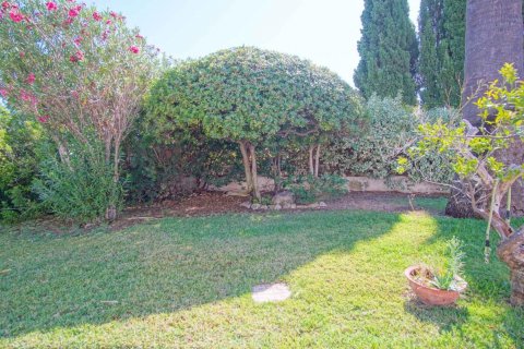 Villa in vendita Denia, Alicante, Spagna 4 camere da letto, 150 mq. N° 113033 - foto 6