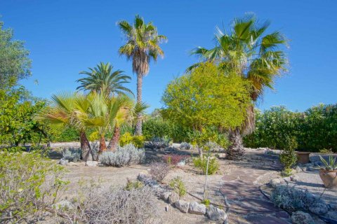 Villa in vendita Denia, Alicante, Spagna 4 camere da letto, 150 mq. N° 113033 - foto 9