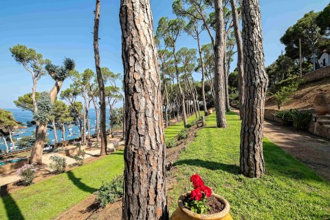 House zum Verkauf in Tamariu, Girona, Spanien 7 Schlafzimmer, Nr. 141183 - Foto 3