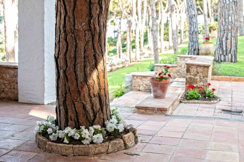 House zum Verkauf in Tamariu, Girona, Spanien 7 Schlafzimmer, Nr. 141183 - Foto 29