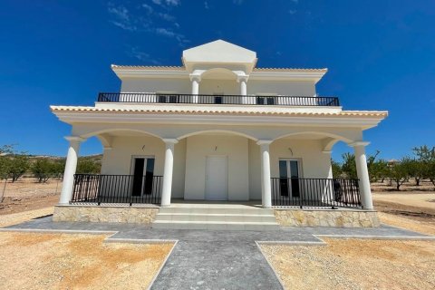 Villa en venta en Pinoso, Alicante, España 4 dormitorios, 163 m2 No. 171648 - foto 10