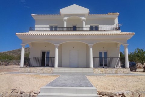 Villa en venta en Pinoso, Alicante, España 4 dormitorios, 163 m2 No. 171648 - foto 8