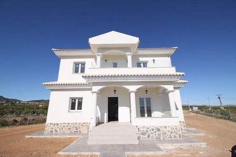 Villa in Pinoso, Alicante, Spanien 4 Schlafzimmer, 150 m2 Nr. 171647