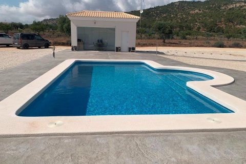 Villa pārdošanā Pinoso, Alicante, Spānijā 4 istabas, 180 m2 Nr. 171649 - attēls 4