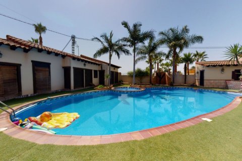 Villa pārdošanā Catral, Alicante, Spānijā 6 istabas, 750 m2 Nr. 151843 - attēls 24