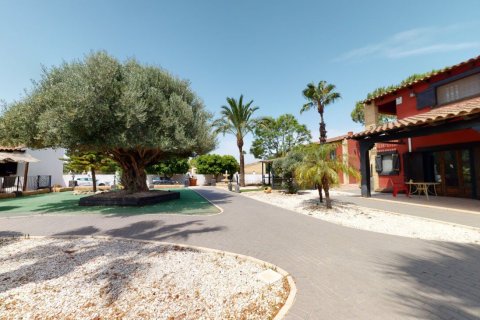 Villa pārdošanā Catral, Alicante, Spānijā 6 istabas, 750 m2 Nr. 151843 - attēls 23