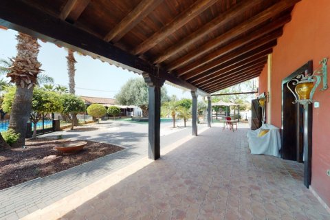 Villa pārdošanā Catral, Alicante, Spānijā 6 istabas, 750 m2 Nr. 151843 - attēls 22