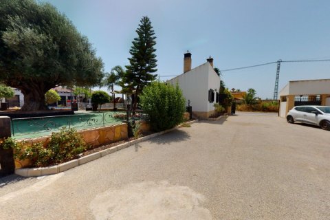 Villa pārdošanā Catral, Alicante, Spānijā 6 istabas, 750 m2 Nr. 151843 - attēls 30