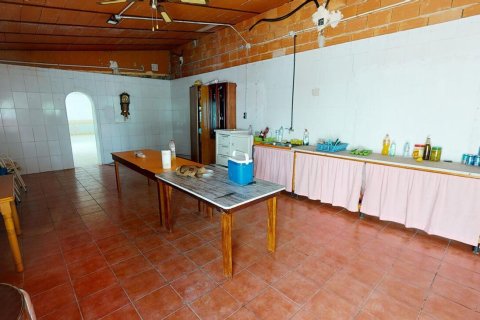 Casa adosada en venta en Albatera, Alicante, España 5 dormitorios, 844 m2 No. 151849 - foto 17