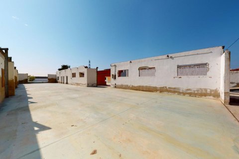 Casa adosada en venta en Albatera, Alicante, España 5 dormitorios, 844 m2 No. 151849 - foto 25