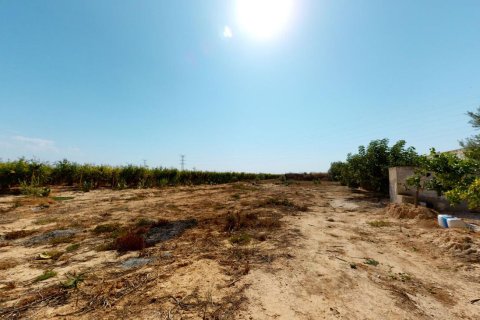 Casa adosada en venta en Albatera, Alicante, España 5 dormitorios, 844 m2 No. 151849 - foto 29