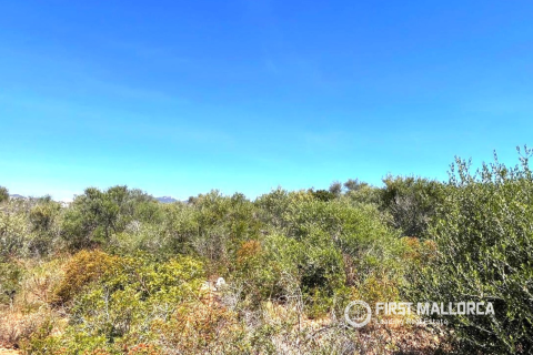 Land plot for sale in Cala D'or, Mallorca, Spain 1005 sq.m. No. 168145 - photo 4