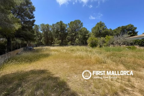 Land plot for sale in Santa Ponsa, Mallorca, Spain 1144 sq.m. No. 168143 - photo 3