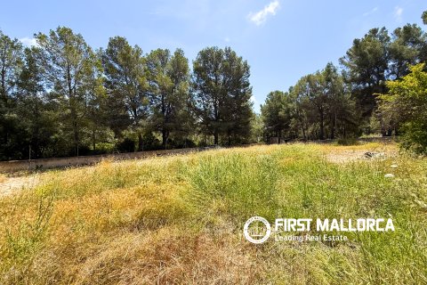 Land plot for sale in Santa Ponsa, Mallorca, Spain 1144 sq.m. No. 168143 - photo 2