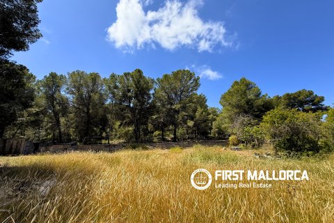 Land plot for sale in Santa Ponsa, Mallorca, Spain 1144 sq.m. No. 168143 - photo 4