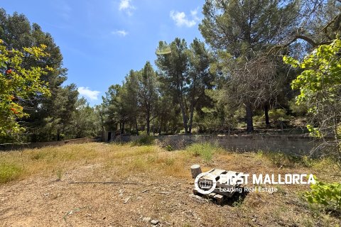 Land plot for sale in Santa Ponsa, Mallorca, Spain 1144 sq.m. No. 168143 - photo 6