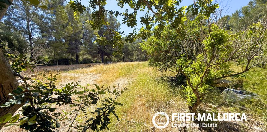 Land plot in Santa Ponsa, Mallorca, Spain 1144 sq.m. No. 168143